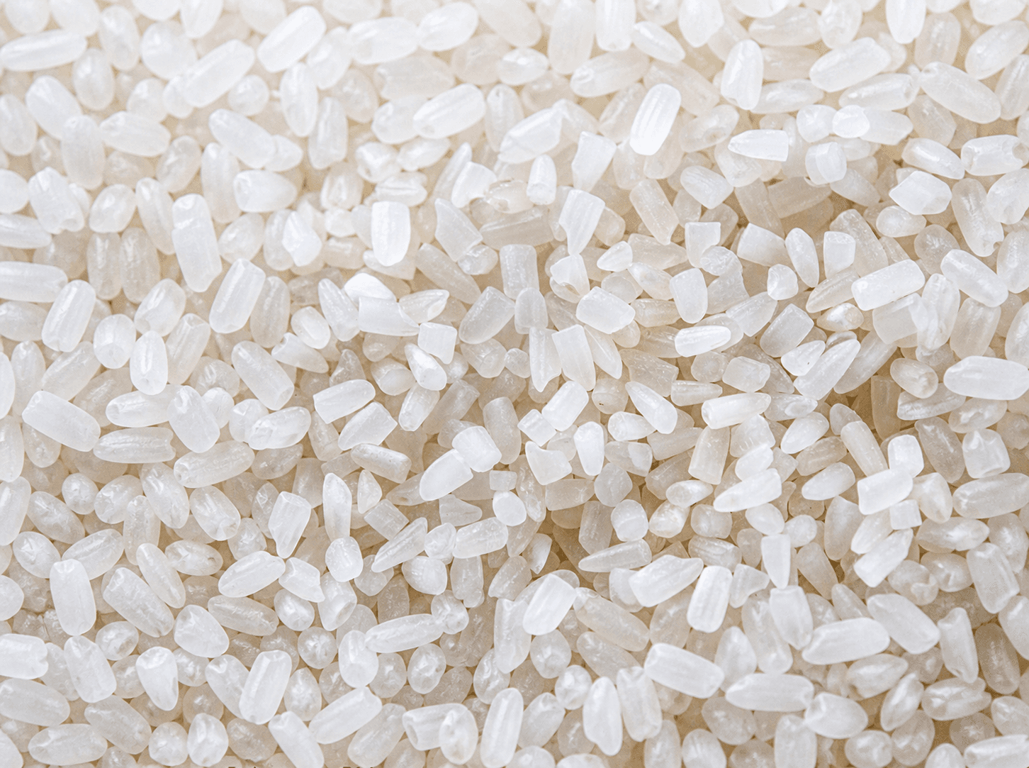 Broken Rice