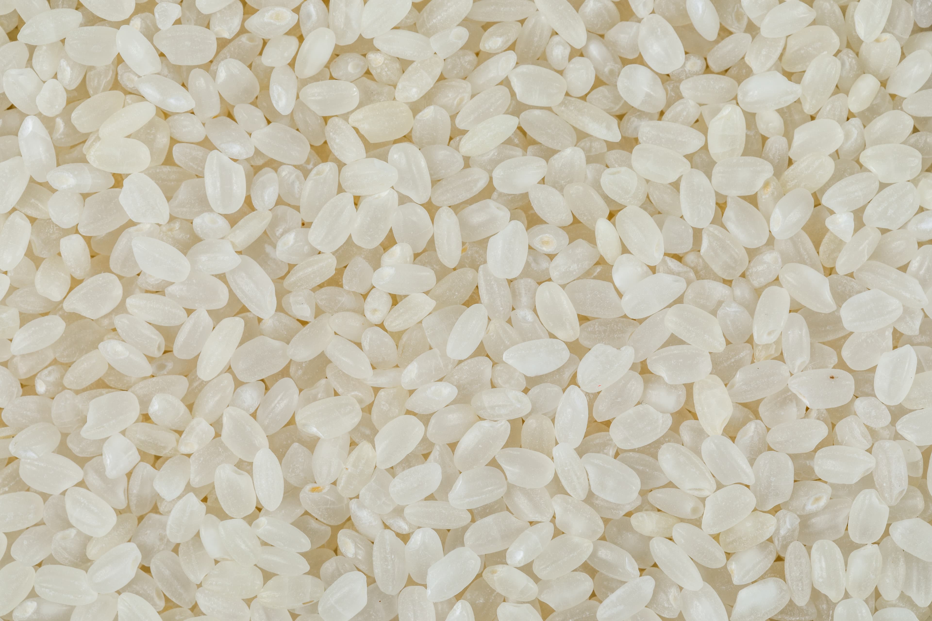 Japonica Round Rice