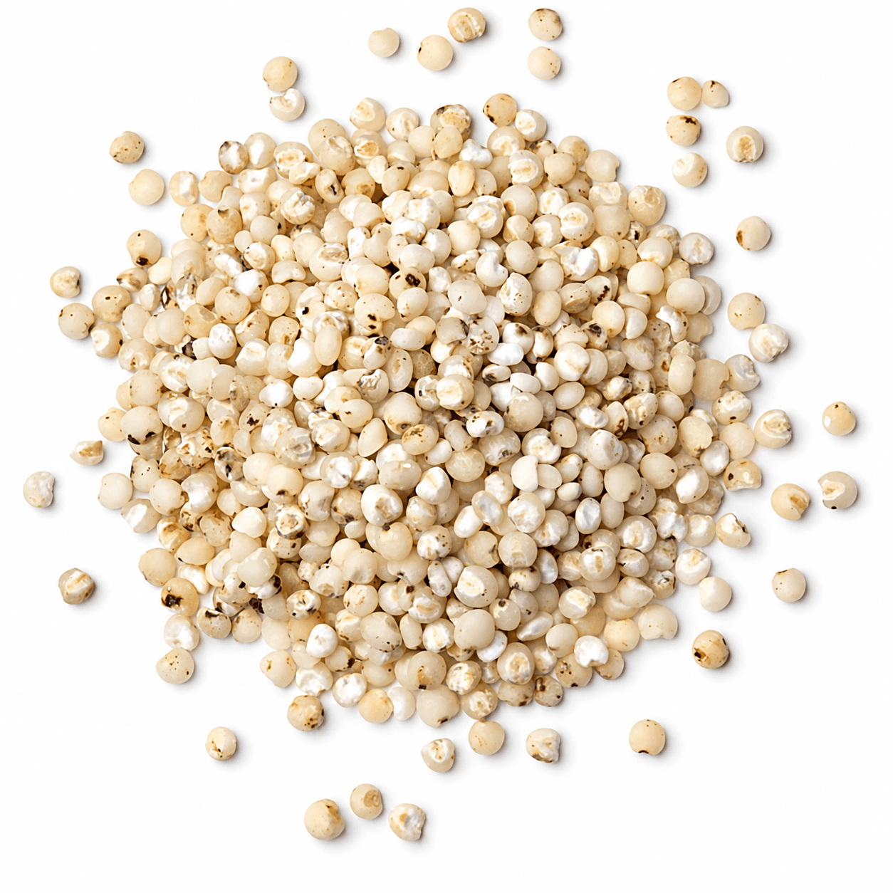 Sorghum Rice